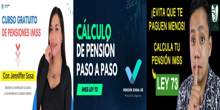 "Aspectos legales de la pensión modalidad 73 en México"