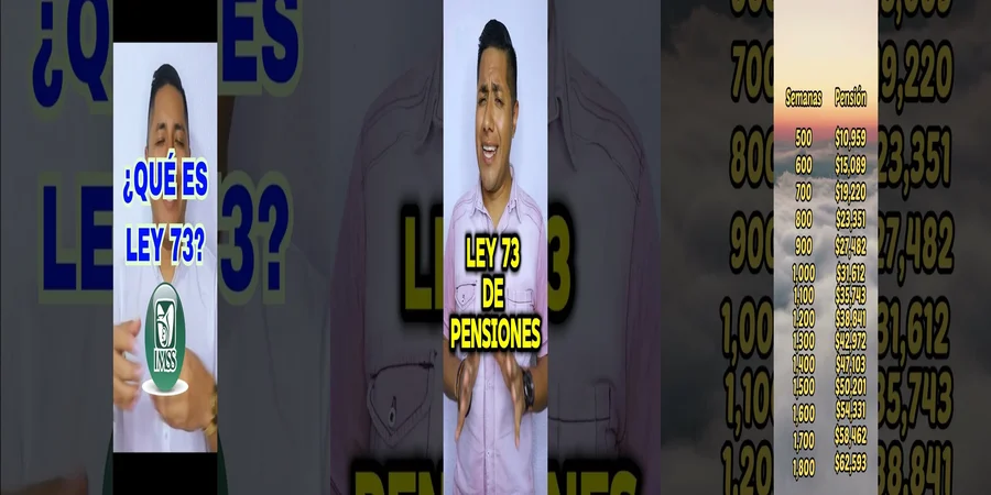 "Aspectos legales de la pensión máxima Ley 73 en México"