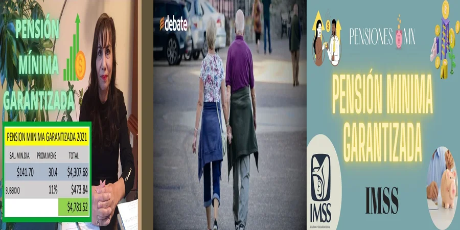 "Aspectos legales de la pensión mínima garantizada en México"