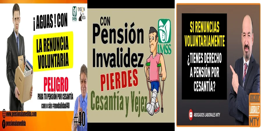 "Aspectos legales de la pensión por cesantía y vejez en México"