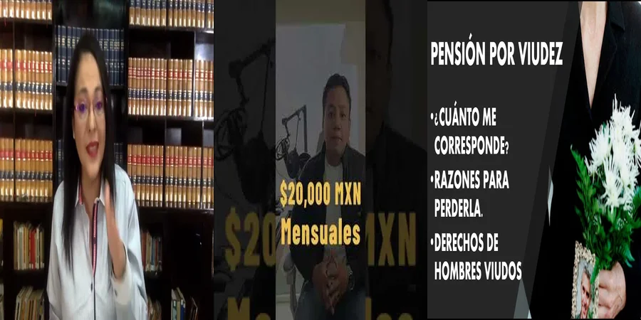 "Aspectos legales de la pensión por viudez del IMSS en México"
