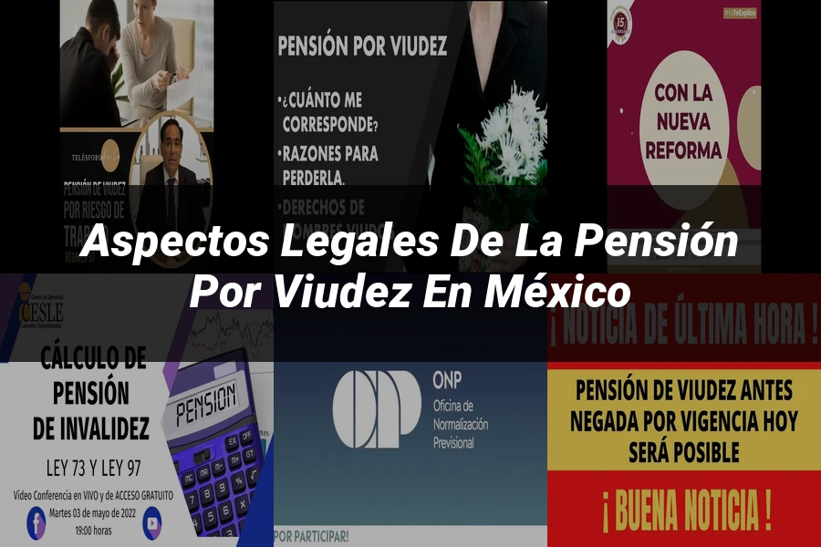 "Aspectos legales de la pensión por viudez en México"