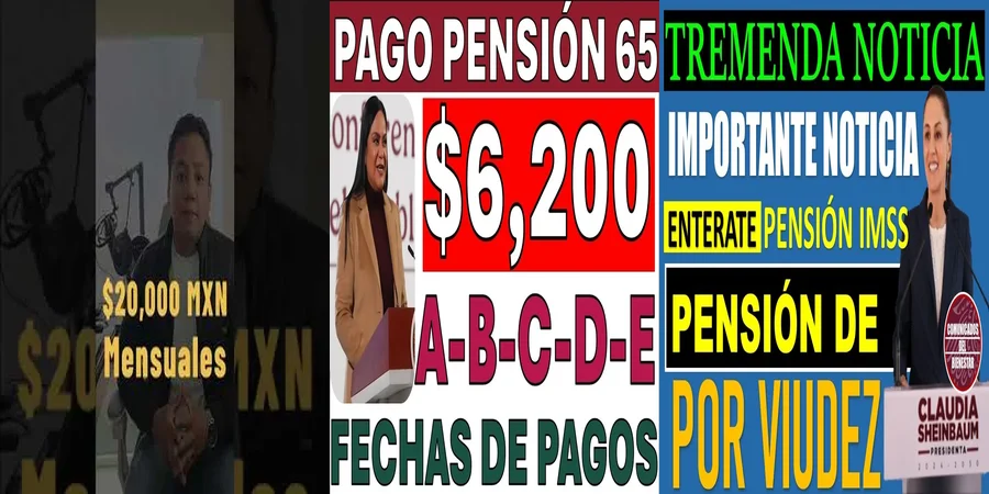 "Aspectos legales de la pensión por viudez en México"