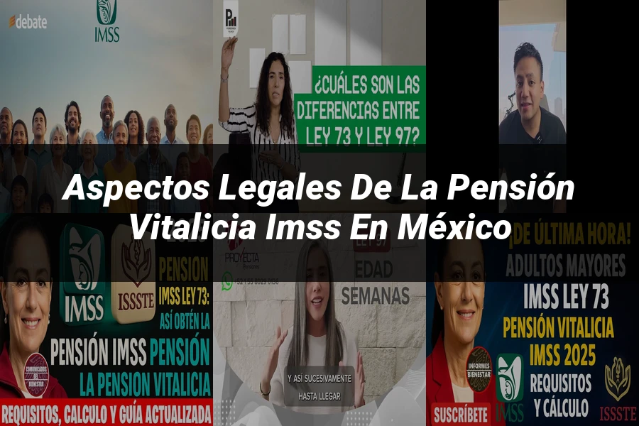 "Aspectos legales de la pensión vitalicia IMSS en México"