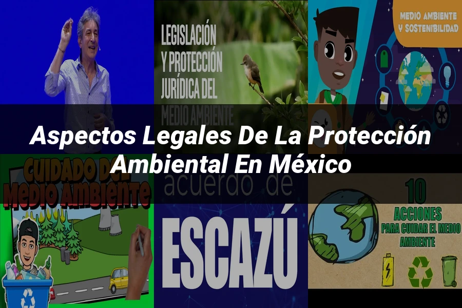 "Aspectos legales de la protección ambiental en México"