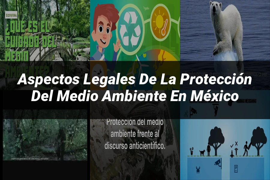"Aspectos legales de la protección del medio ambiente en México"