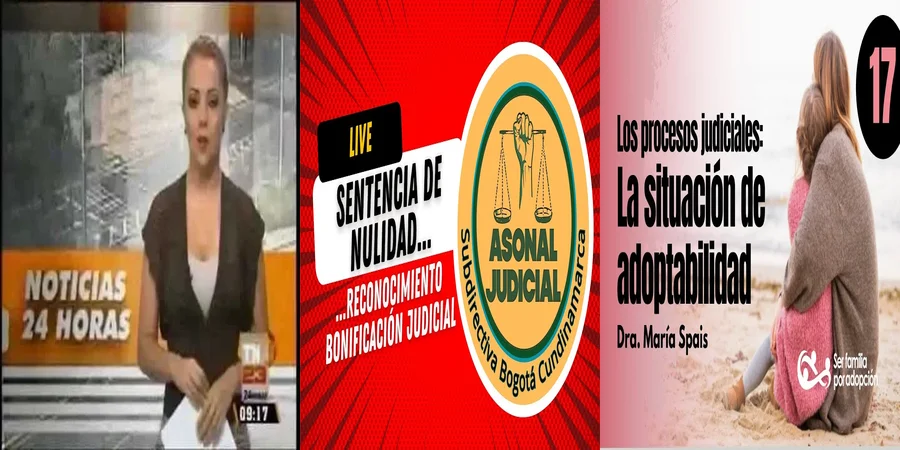 "Aspectos legales de la sentencia de adopción en México"