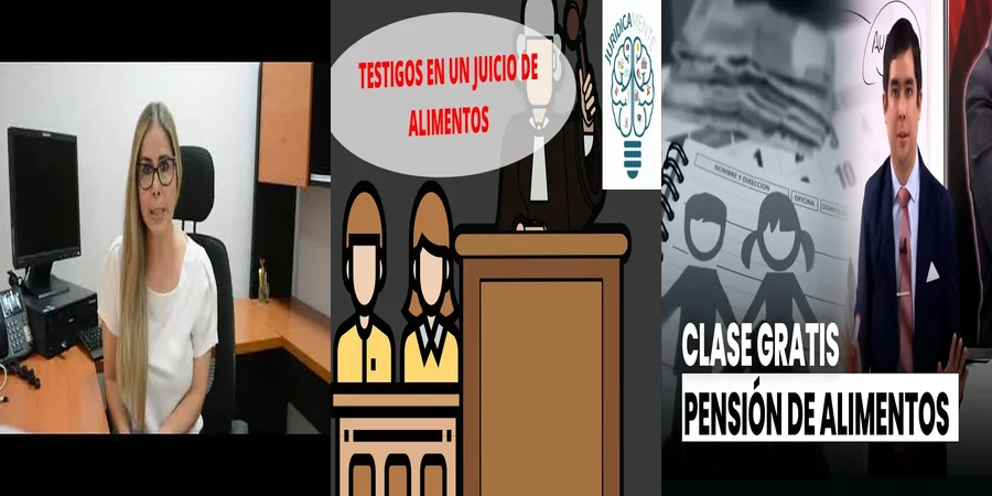"Aspectos legales de la sentencia de alimentos en México"