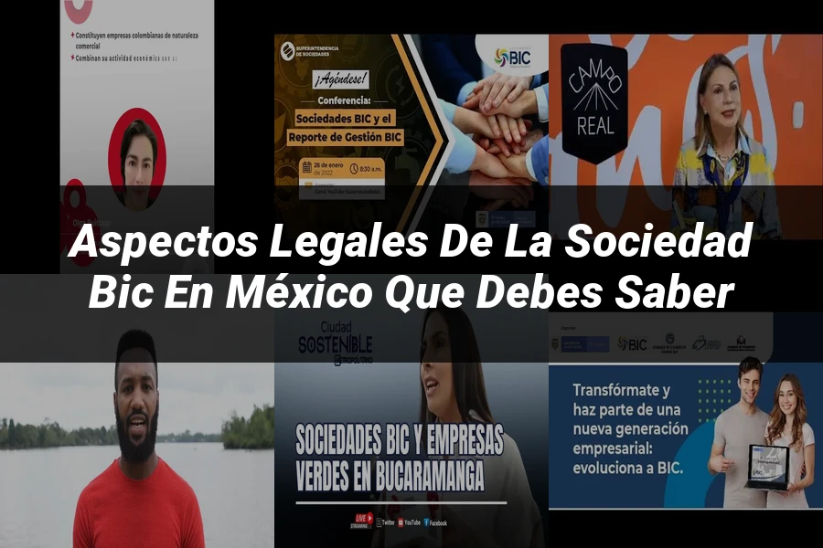 "Aspectos legales de la sociedad BIC en México que debes saber"