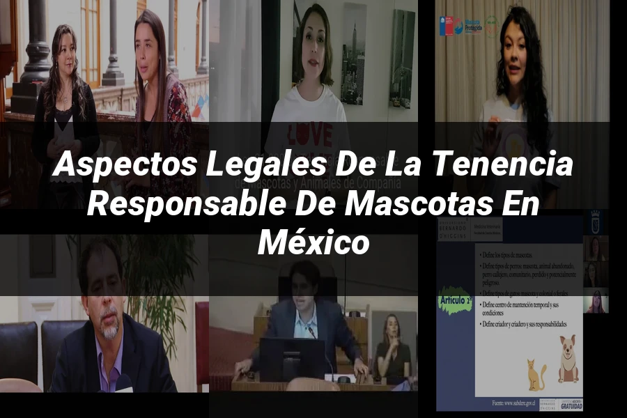 "Aspectos legales de la tenencia responsable de mascotas en México"