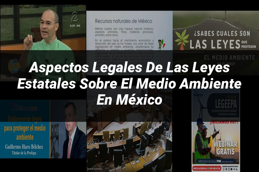 "Aspectos legales de las leyes estatales sobre el medio ambiente en México"