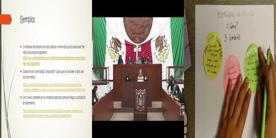 "Aspectos legales de las leyes estatales sobre el medio ambiente en México"