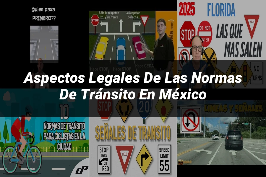 "Aspectos legales de las normas de tránsito en México"