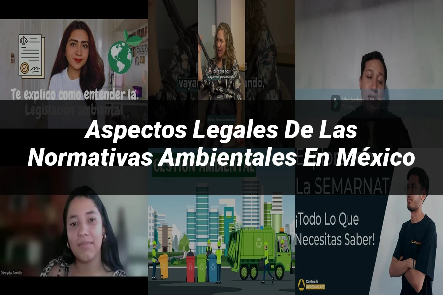 "Aspectos legales de las normativas ambientales en México"