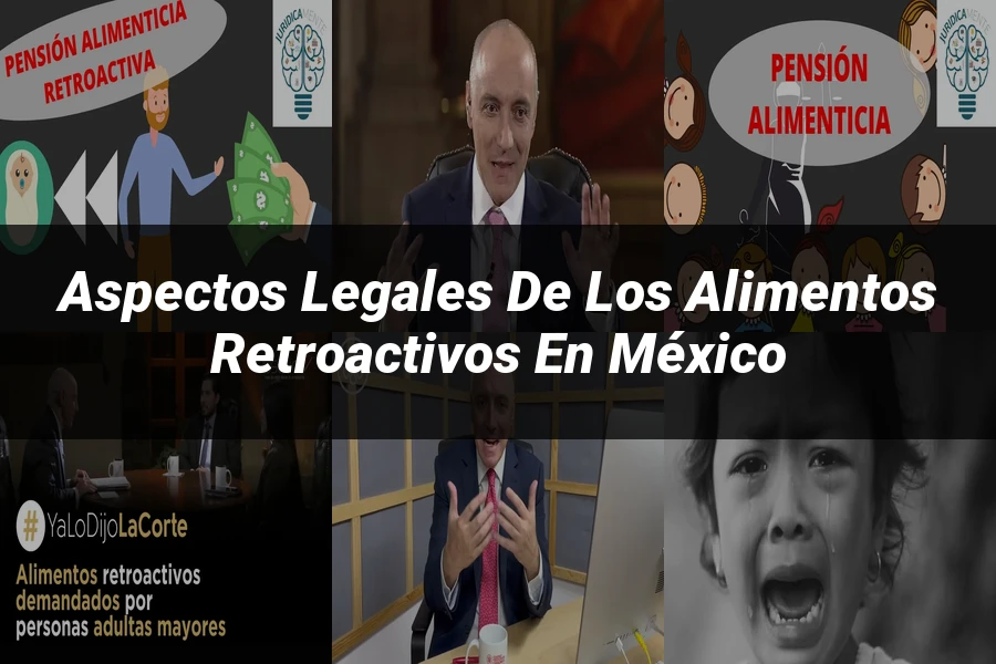 "Aspectos legales de los alimentos retroactivos en México"