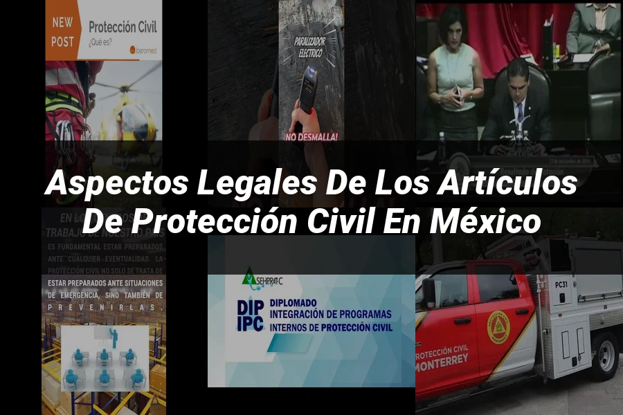 "Aspectos legales de los artículos de protección civil en México"