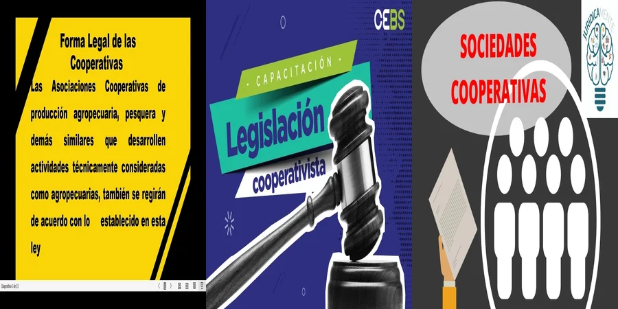 "Aspectos legales de los estatutos de la sociedad cooperativa en México"