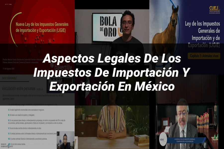 "Aspectos legales de los impuestos de importación y exportación en México"