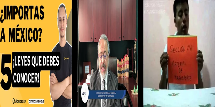 "Aspectos legales de los impuestos de importación y exportación en México"