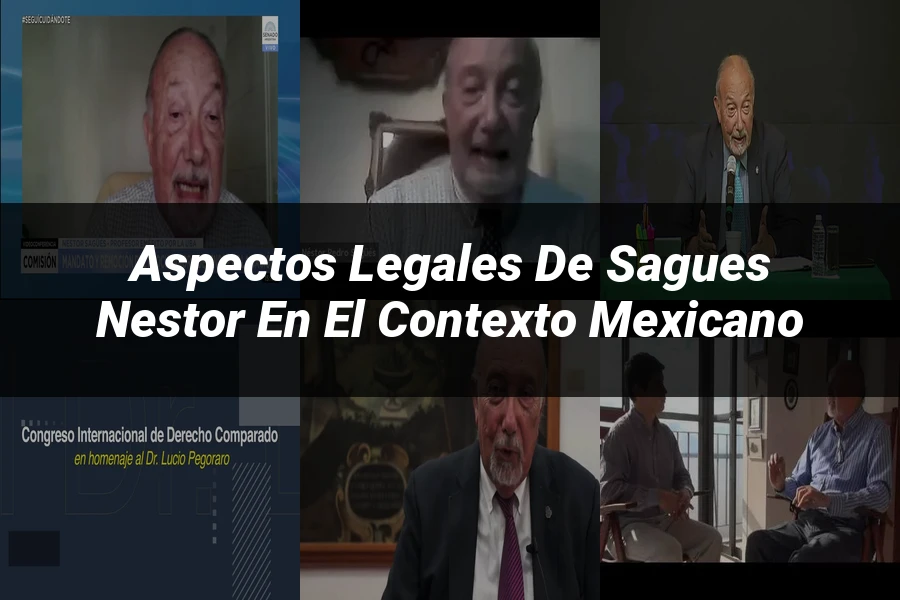 "Aspectos legales de sagues nestor en el contexto mexicano"