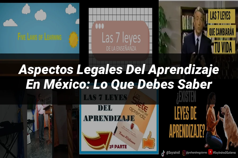 "Aspectos legales del aprendizaje en México: lo que debes saber"