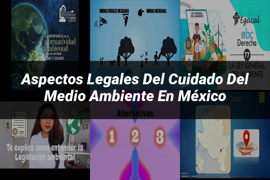 "Aspectos legales del cuidado del medio ambiente en México"