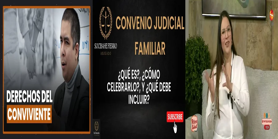 "Aspectos legales del derecho de convivencia familiar en México"