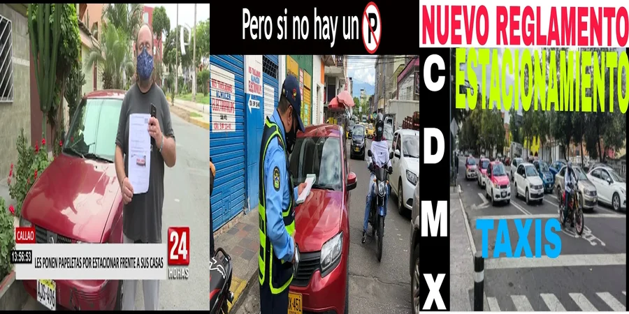 "Aspectos legales del estacionamiento en vía pública en México"