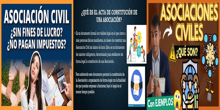 "Aspectos legales del estatuto de asociaciones civiles en México"