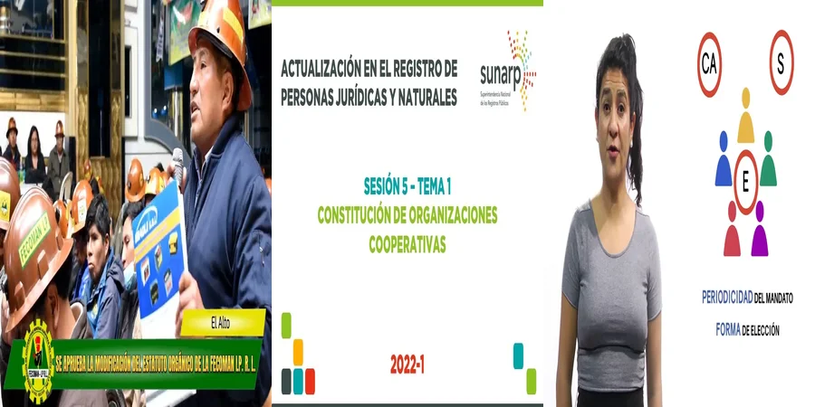 "Aspectos legales del estatuto de cooperativas en México"
