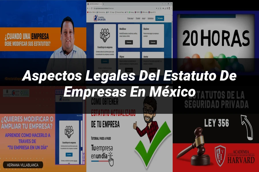 "Aspectos legales del estatuto de empresas en México"