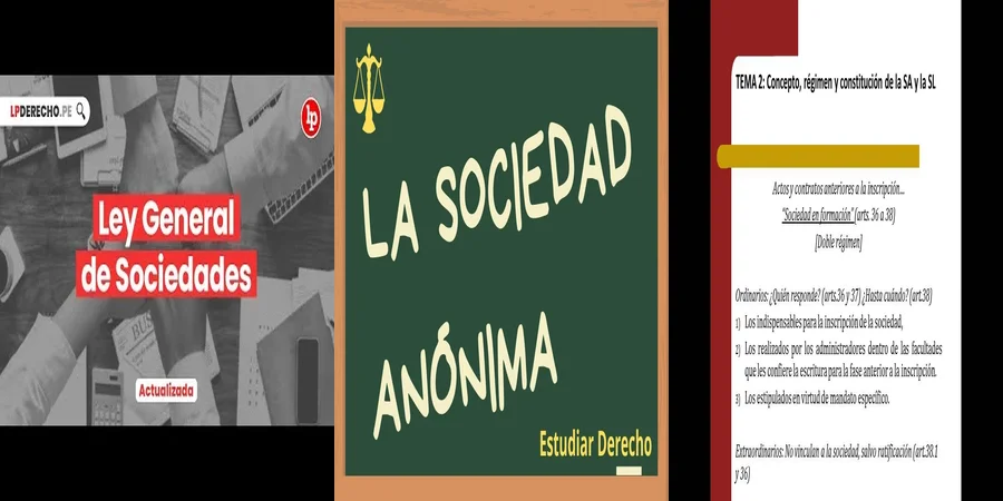"Aspectos legales del estatuto de sociedades anónimas en México"
