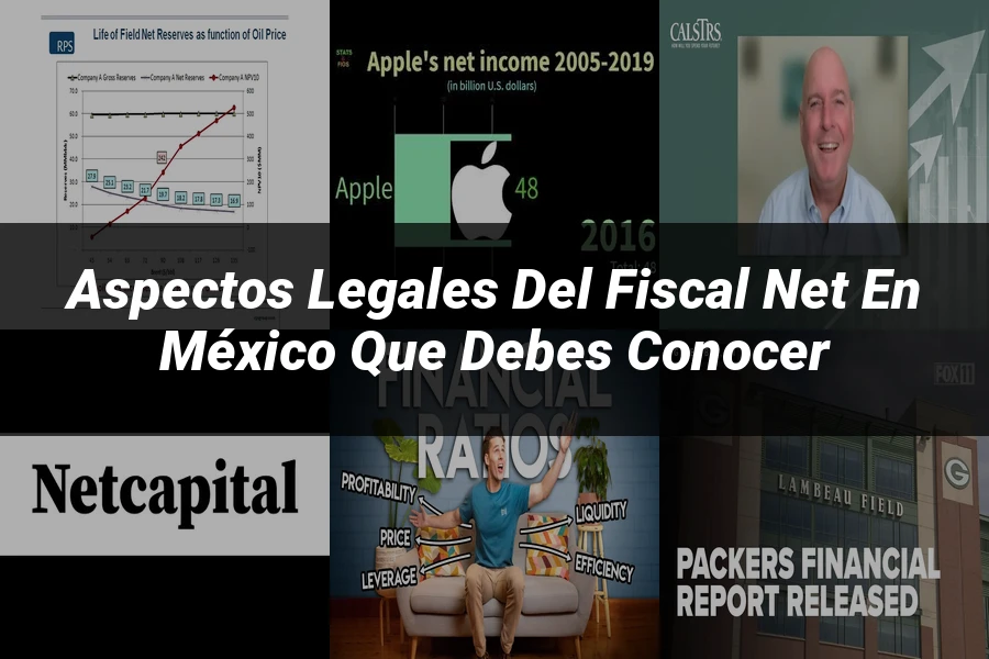 "Aspectos legales del fiscal net en México que debes conocer"