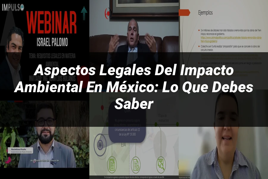 "Aspectos legales del impacto ambiental en México: lo que debes saber"