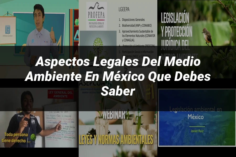 "Aspectos legales del medio ambiente en México que debes saber"