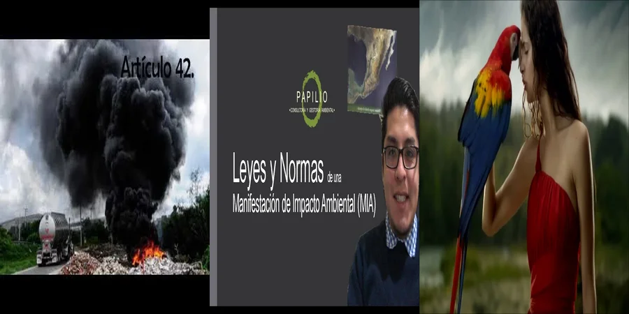 "Aspectos legales del medio ambiente en México que debes saber"