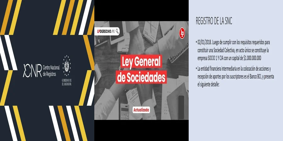 "Aspectos legales del registro de constitución de sociedades en México"