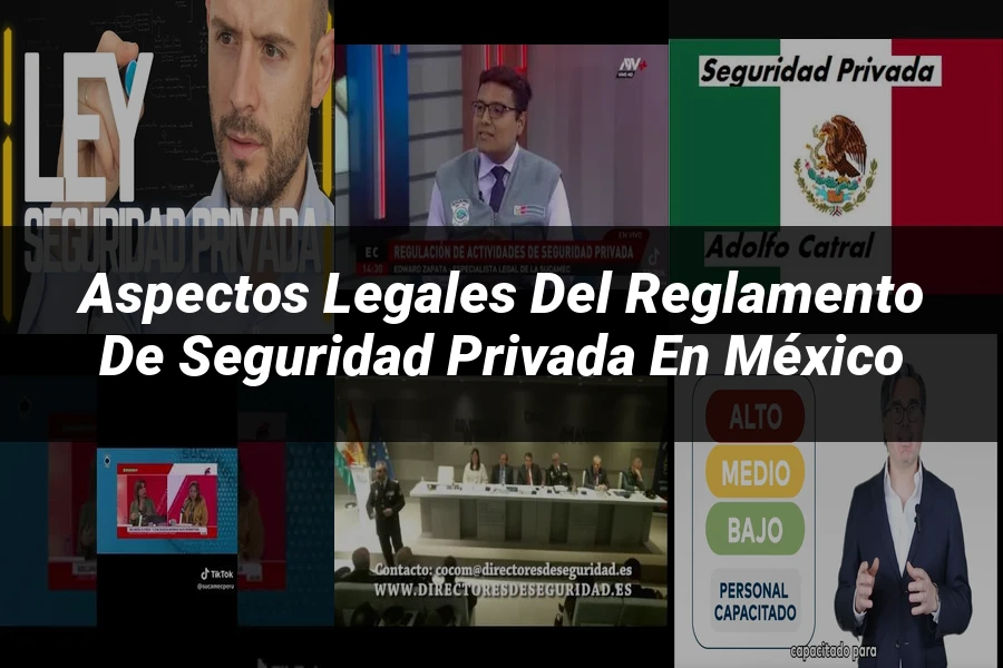 "Aspectos legales del reglamento de seguridad privada en México"