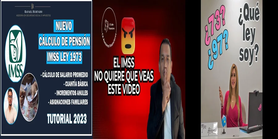 "Aspectos legales del régimen de jubilaciones del IMSS en México"