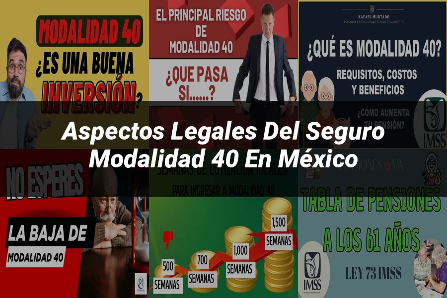 "Aspectos legales del seguro modalidad 40 en México"