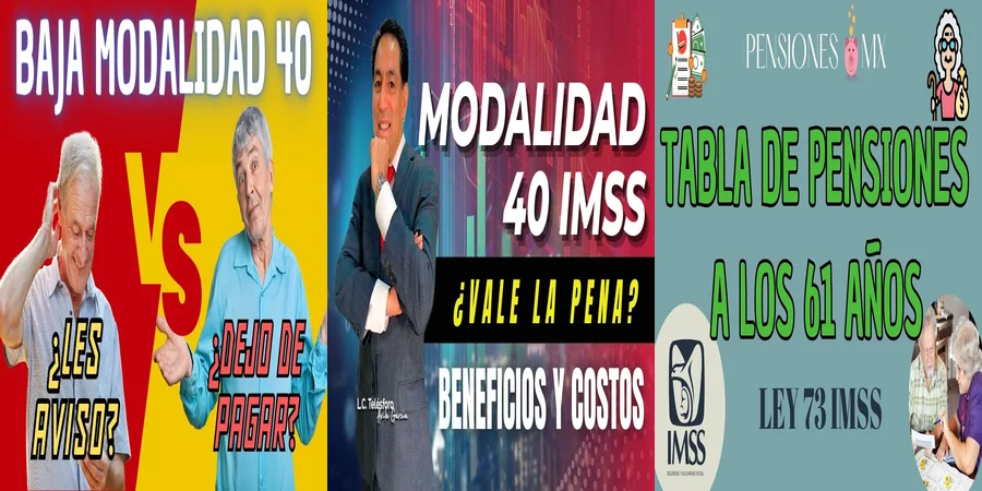 "Aspectos legales del seguro modalidad 40 en México"