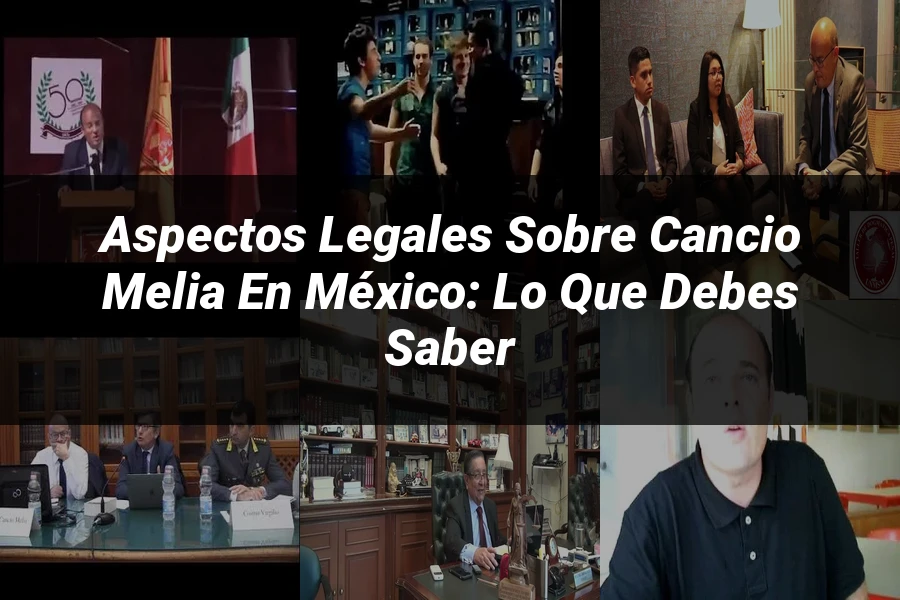 "Aspectos legales sobre cancio melia en México: lo que debes saber"