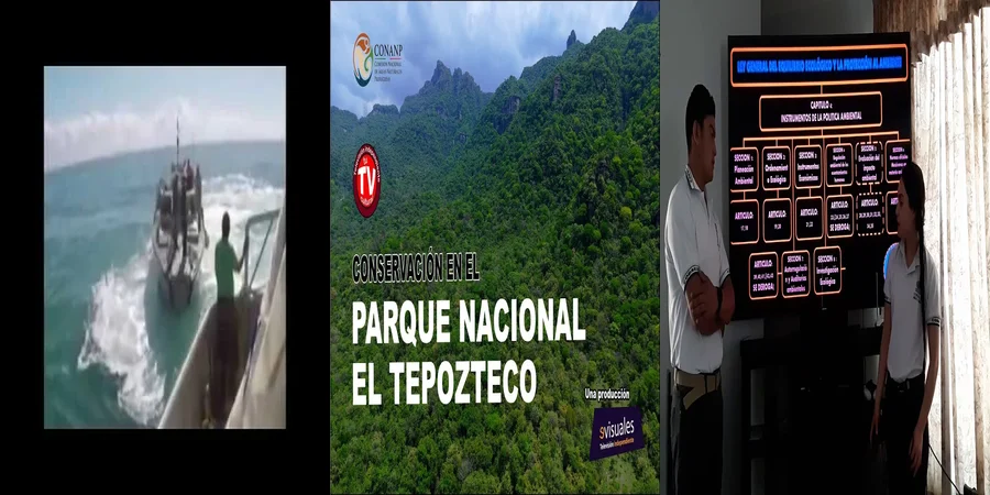 "Aspectos legales sobre el equilibrio ecológico en México"