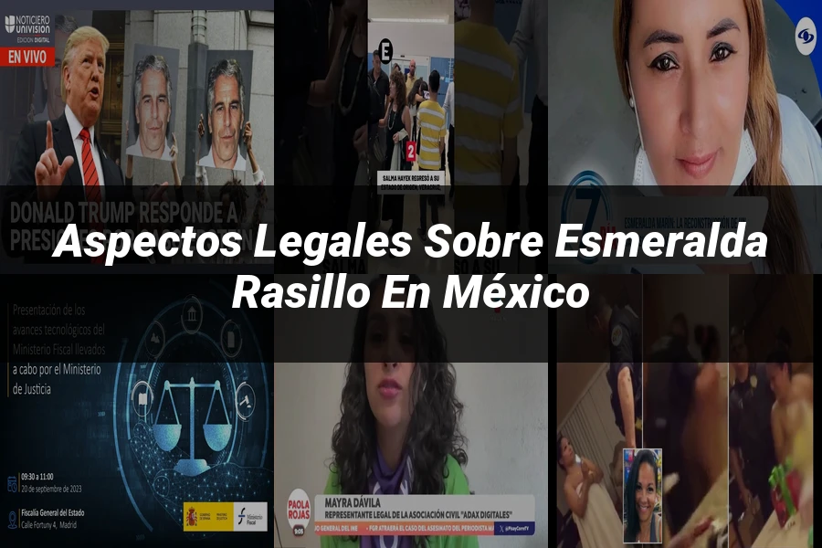 "Aspectos legales sobre esmeralda rasillo en México"