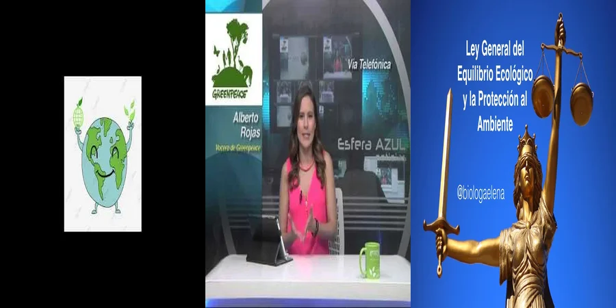 "Aspectos legales sobre la protección del ambiente en México"