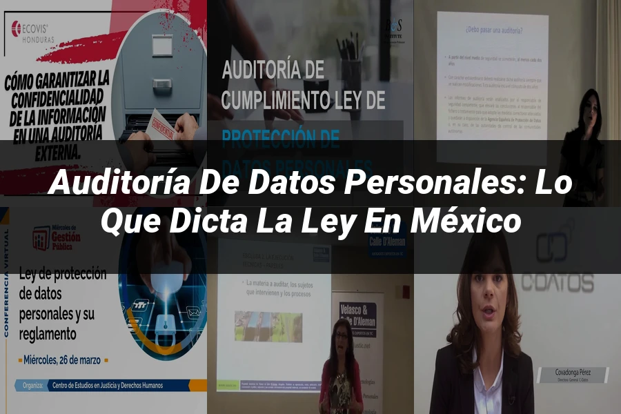 "Auditoría de Datos Personales: Lo que Dicta la Ley en México"