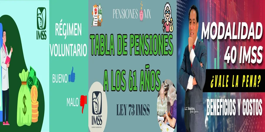"Beneficios de la modalidad 40 del Seguro Social en México"