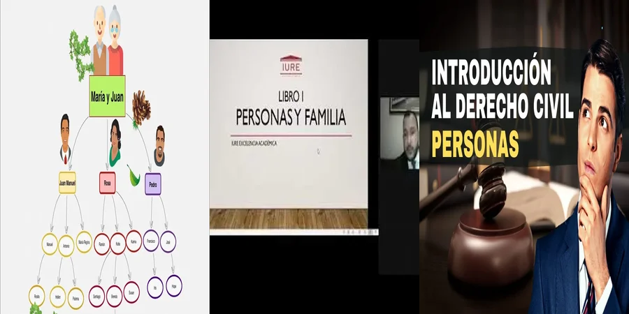 "Clasificación de Hijos en el Código Civil Mexicano: Derechos y Más"