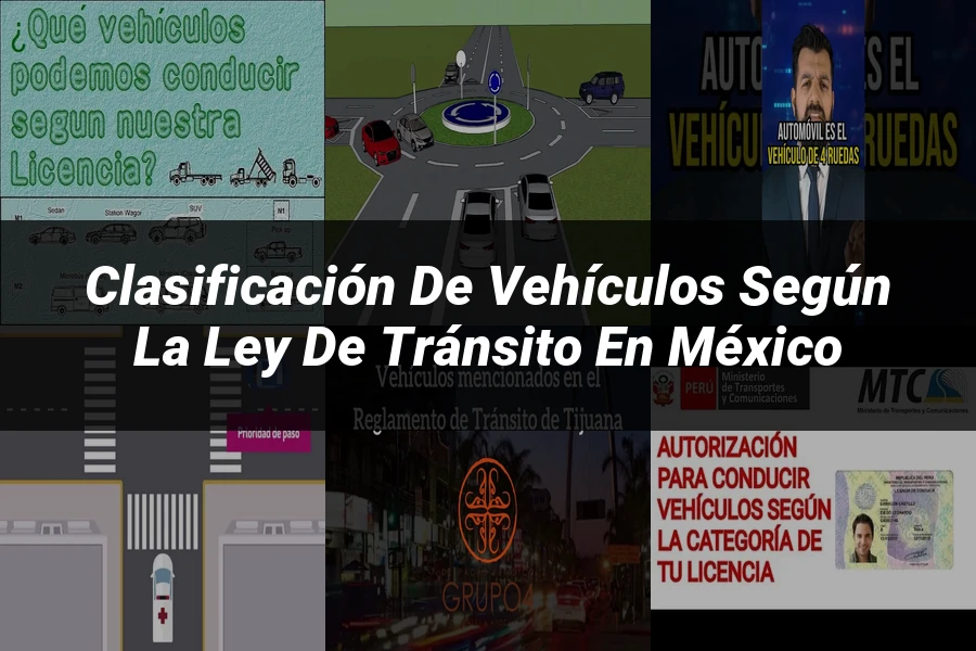 "Clasificación de vehículos según la ley de tránsito en México"