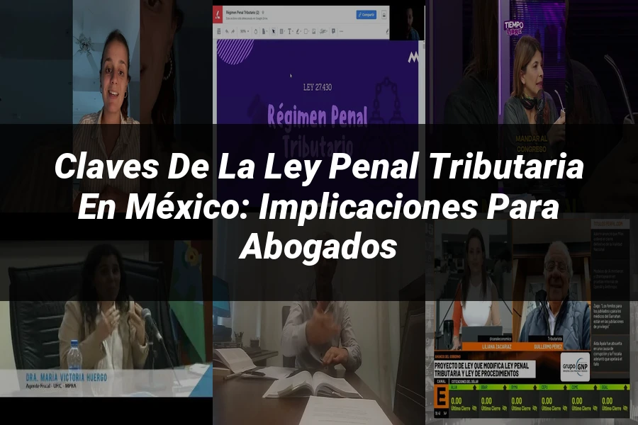 "Claves de la Ley Penal Tributaria en México: Implicaciones para Abogados"